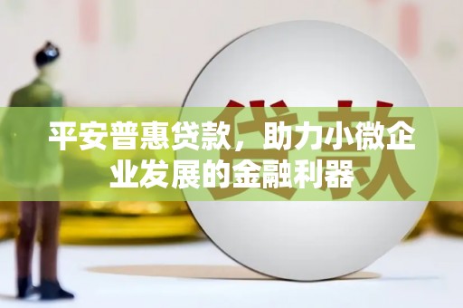 岫岩平安普惠贷款，助力小微企业发展的金融利器
