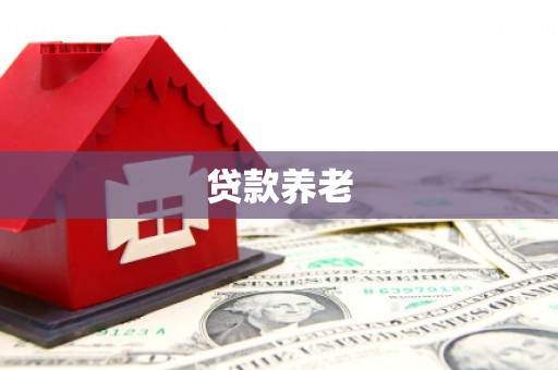 岫岩贷款养老