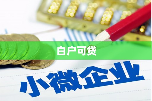 岫岩白户可贷