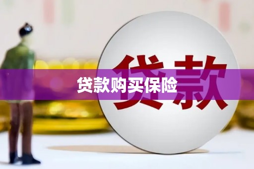岫岩贷款购买保险