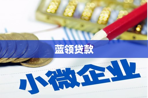 岫岩蓝领贷款