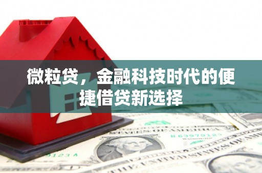 岫岩微粒贷，金融科技时代的便捷借贷新选择