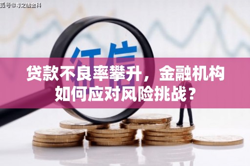 岫岩贷款不良率攀升，金融机构如何应对风险挑战？