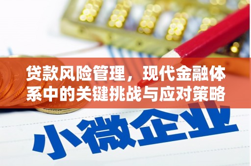 岫岩贷款风险管理，现代金融体系中的关键挑战与应对策略