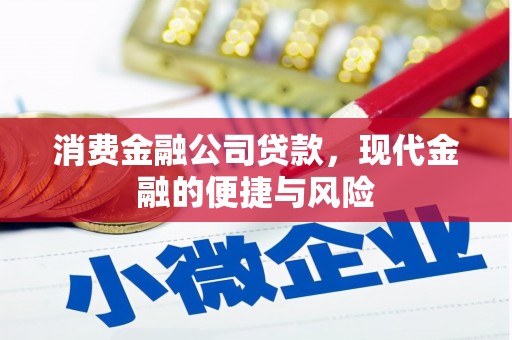 岫岩消费金融公司贷款，现代金融的便捷与风险