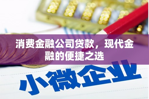 岫岩消费金融公司贷款，现代金融的便捷之选