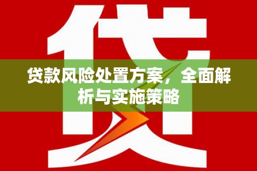 岫岩贷款风险处置方案，全面解析与实施策略