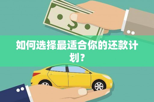 岫岩如何选择最适合你的还款计划？